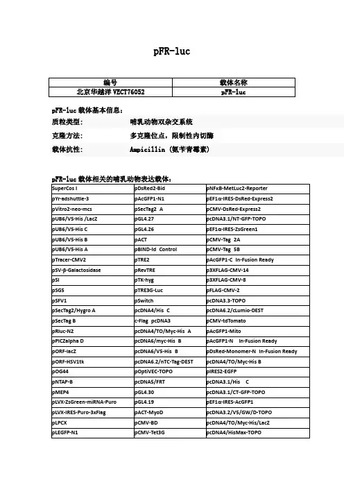 pFR-luc使用说明