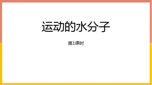 鲁教版九年级化学上册 运动的水分子 探秘水世界课件(第1课时)
