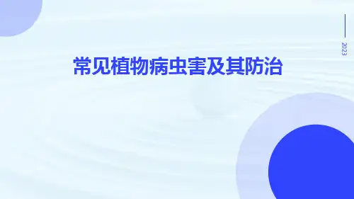 常见植物病虫害及其防治ppt