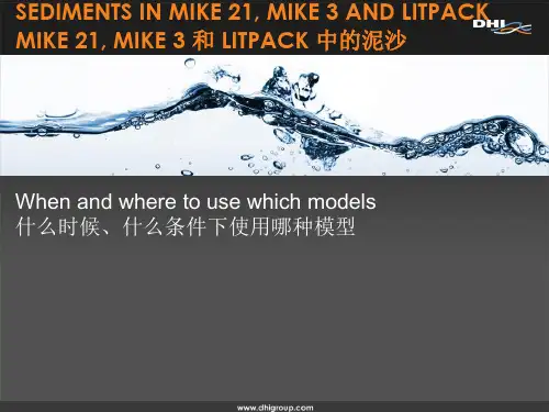 MIKE泥沙模拟教程1