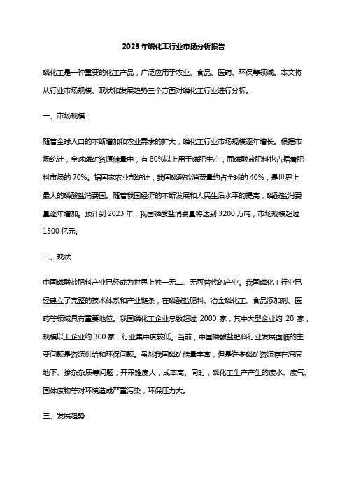 2023年磷化工行业市场分析报告