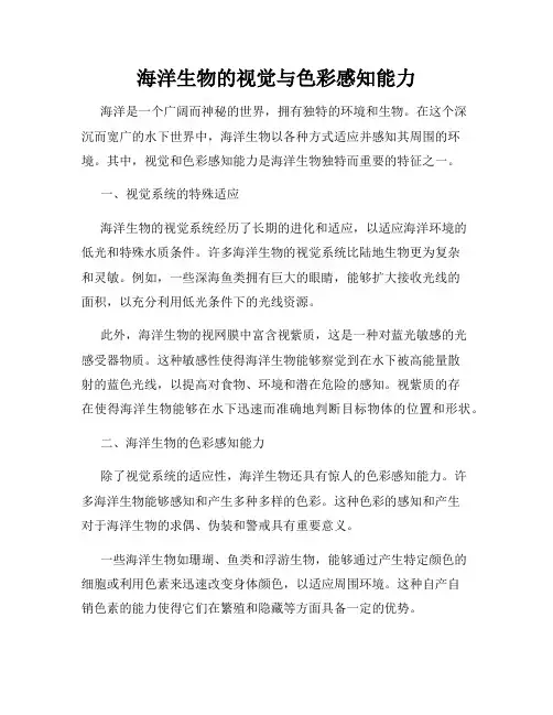 海洋生物的视觉与色彩感知能力