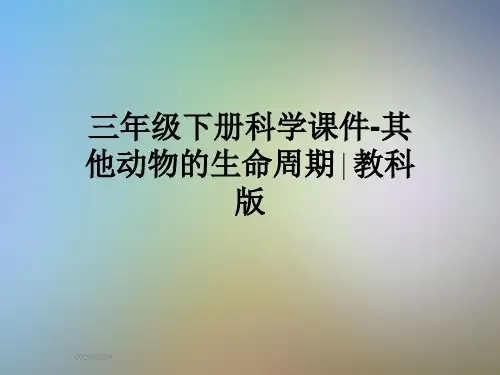 三年级下册科学课件-其他动物的生命周期∣教科版