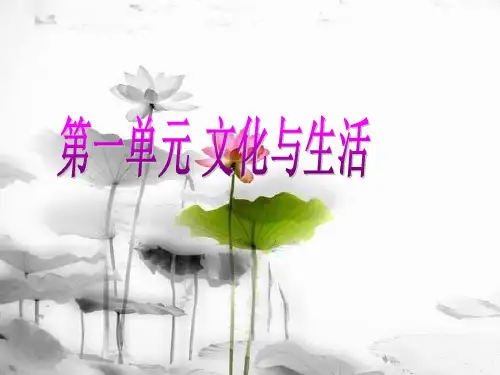 高中政治人教版必修三《文化生活》文化与生活专题复习课件 (共30张PPT)