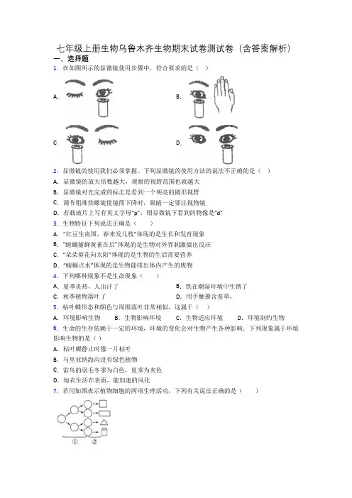 七年级上册生物乌鲁木齐生物期末试卷测试卷(含答案解析)