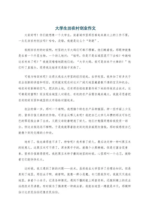 大学生回农村创业作文