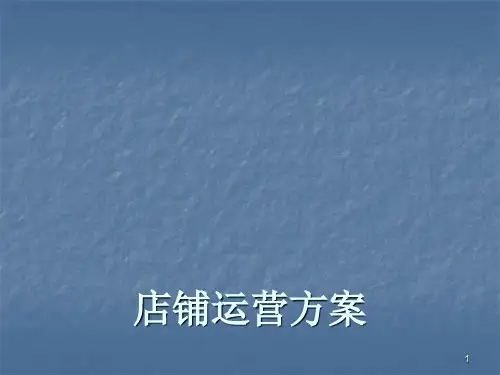 网店运营规划ppt课件