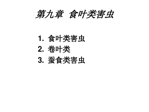 食叶类害虫 ppt课件