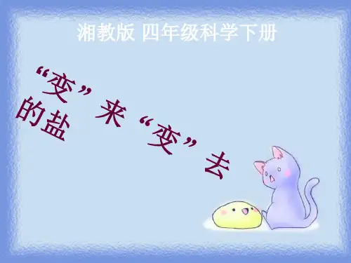 四年级下册科学课件-5.1“变”来“变”去的盐  ｜湘科版(一起)     (共12张PPT)
