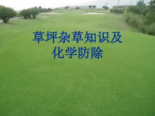 草坪杂草知识及化学防除