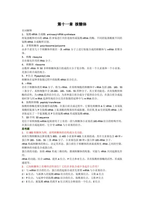 第十一章 核糖体