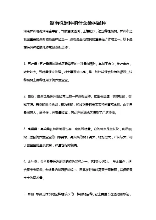 湖南株洲种植什么桑树品种