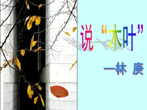 说木叶经典实用精品
