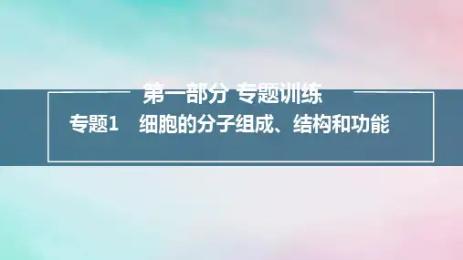 新教材2024届高考生物考前冲刺刷题第1部分专题训练专题1细胞的分子组成结构和功能课件