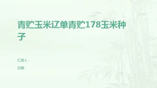 青贮玉米辽单青贮178玉米种子