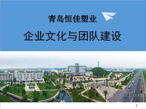企业文化-企业文化与团队建设176页 精品