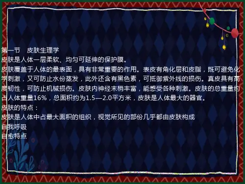 美容基础知识培训