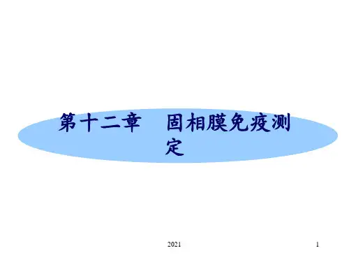 第十二章-固相膜免疫测定PPT课件