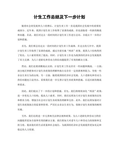 计生工作总结及下一步计划
