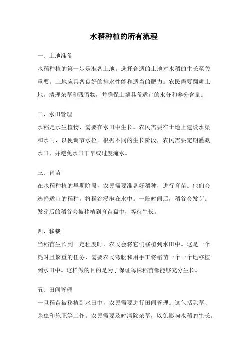 水稻种植的所有流程