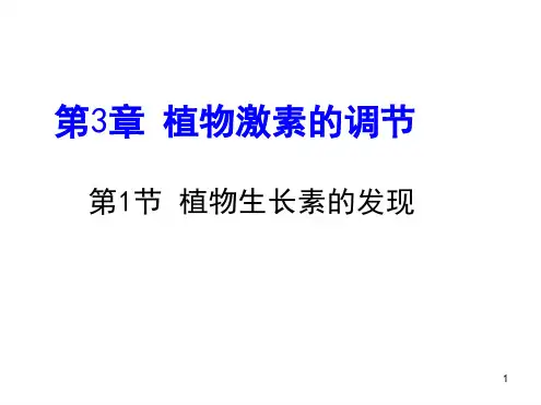 植物的激素调节演示课件