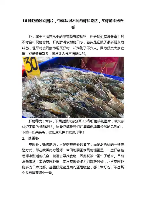 16种虾的辨别图片，带你认识不同的虾和吃法，买虾前不妨看看