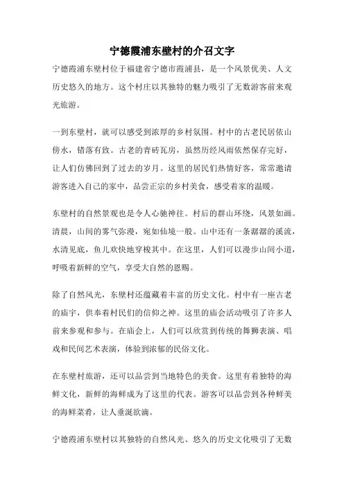 宁德霞浦东壁村的介召文字