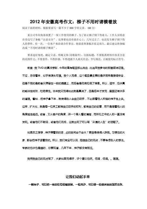 2012年安徽高考作文：梯子不用时请横着放范文