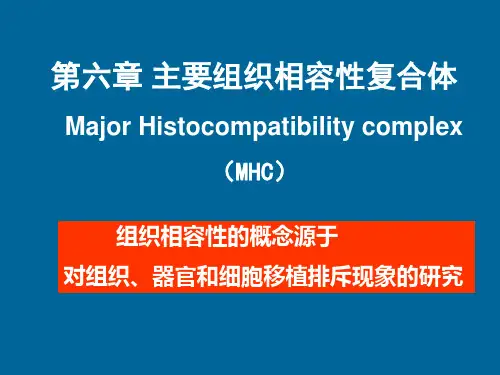 兽医免疫学《主要组织相容性复合体》课件 (2)
