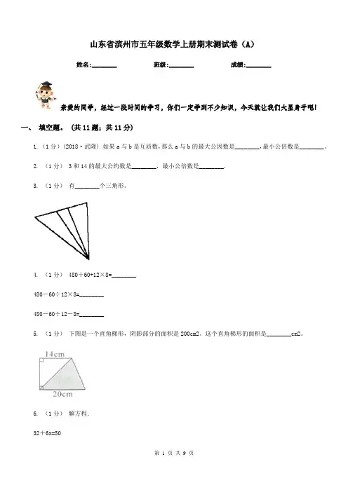山东省滨州市五年级数学上册期末测试卷(A)