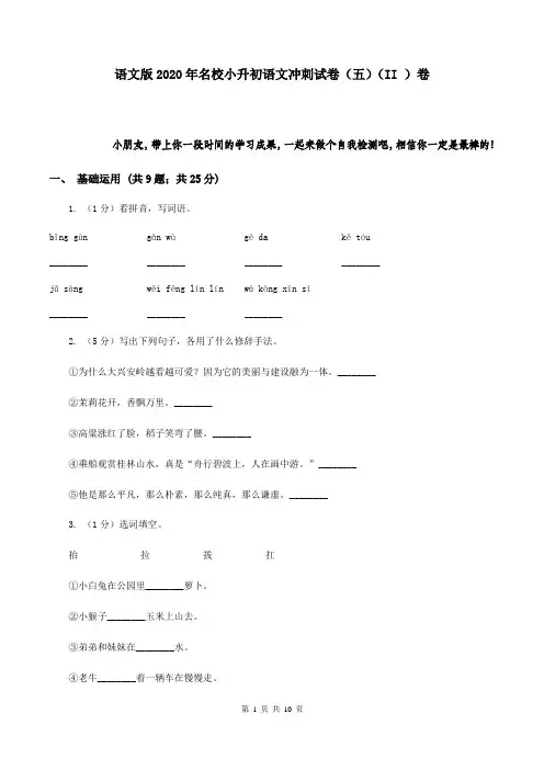 语文版2020年名校小升初语文冲刺试卷(五)(II )卷