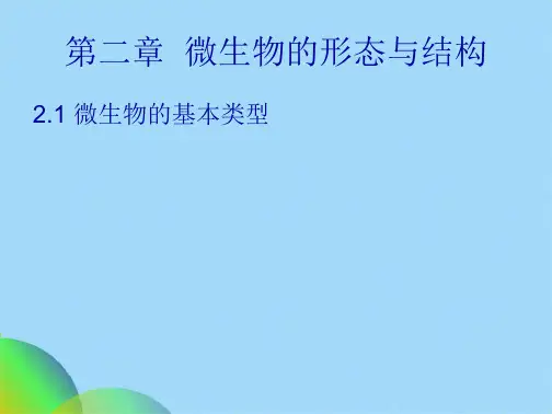 微生物的形态与结构(共184张PPT)