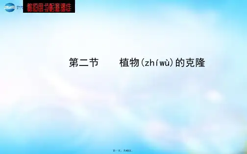 高中生物 第二章 第二节 植物的克隆课件 浙科版选修3