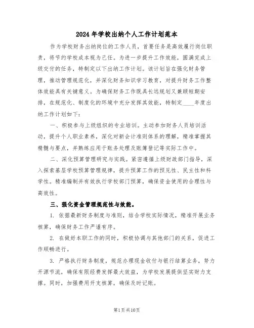 2024年学校出纳个人工作计划范本（五篇）