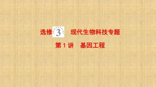 高考生物一轮复习现代生物科技专题第1讲基因工程名师课件苏教版