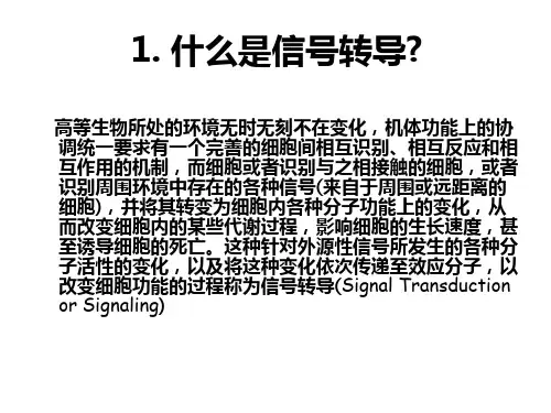 生物化学 第17章 细胞信号转导