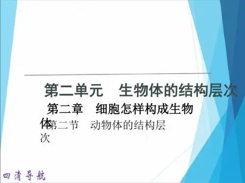 《动物体的结构层次》练习题