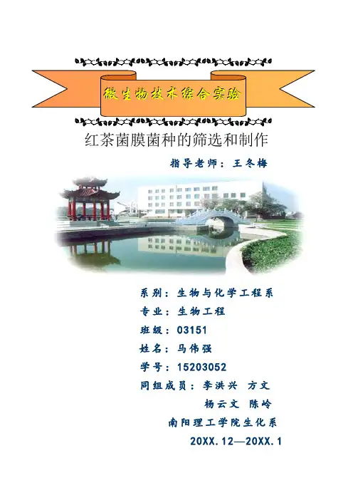 推荐-红茶菌膜菌种的筛选和制作 精品