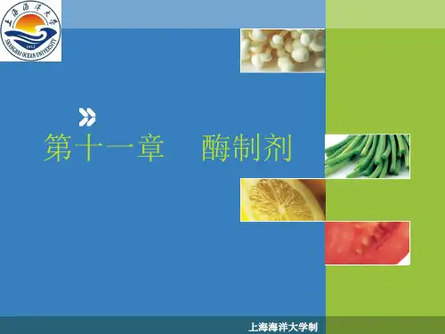 11第十一章：酶制剂2012(12)