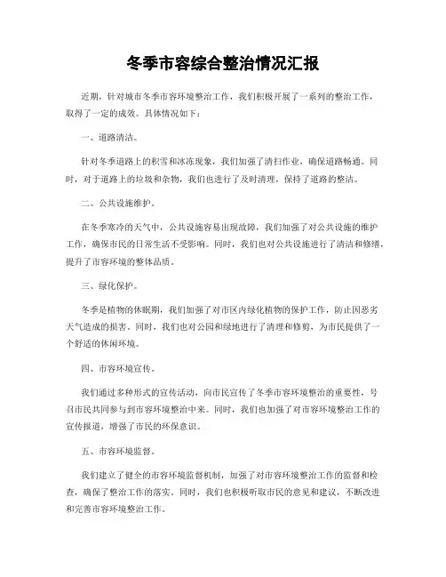 冬季市容综合整治情况汇报