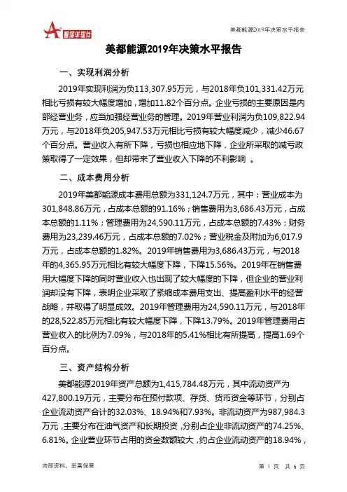 美都能源2019年决策水平分析报告