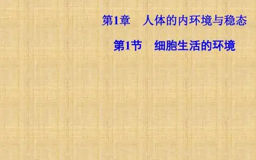 最新高中生物第1章人体的内环境与稳态第1节细胞生活的环境名师课件新人教版必修