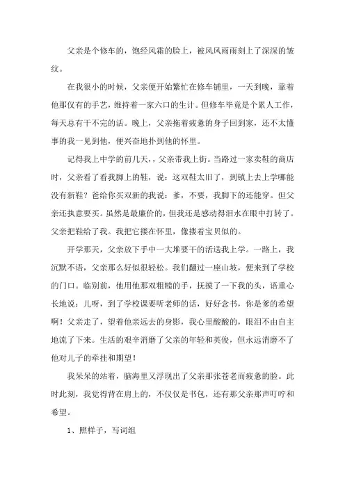 父亲的期望阅读及答案