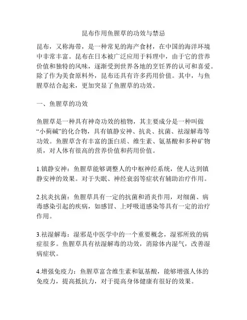 昆布作用鱼腥草的功效与禁忌