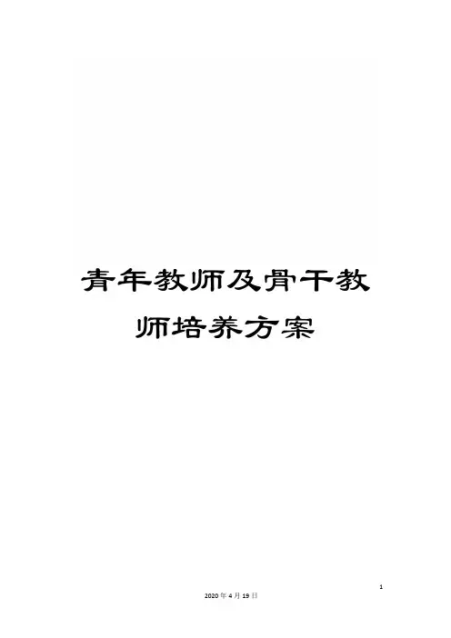 青年教师及骨干教师培养方案