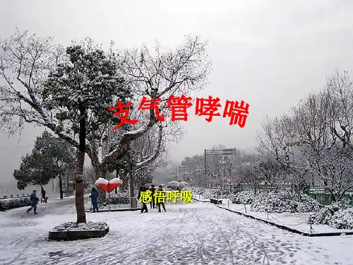 原创哮喘科普ppt课件