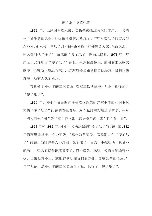 傻子瓜子调查报告