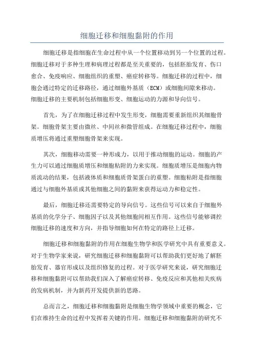 细胞迁移和细胞黏附的作用