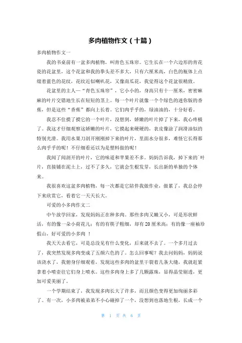 多肉植物作文（十篇）