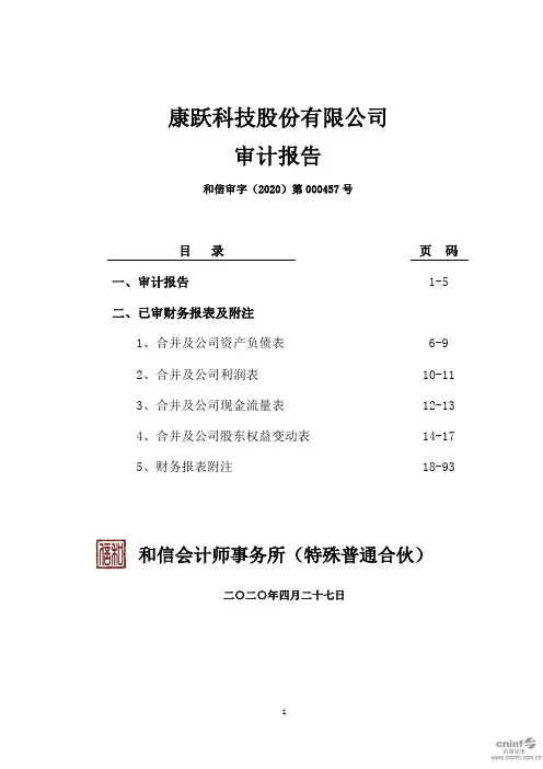 康跃科技：2019年年度审计报告